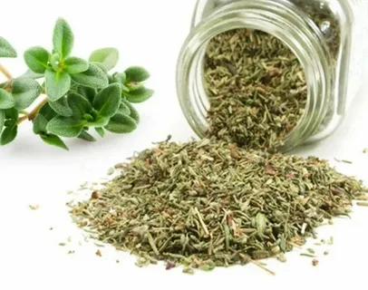 تصویر 3 از قیمت آویشن برگ پهن شیرازی با کیفیت ارزان + خرید عمده